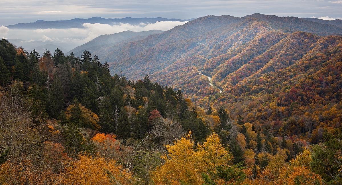 Fall in Asheville: Peak Foliage Dates & Things to Do
