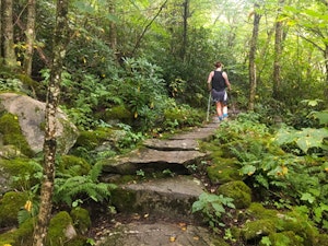 Mount Pisgah Trail