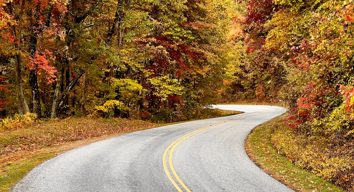 Fall in Asheville: Peak Foliage Dates & Things to Do
