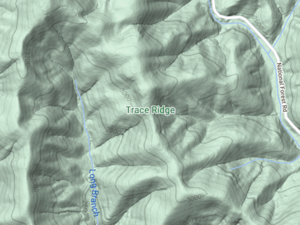 North Mills River - Trace Ridge Trailhead