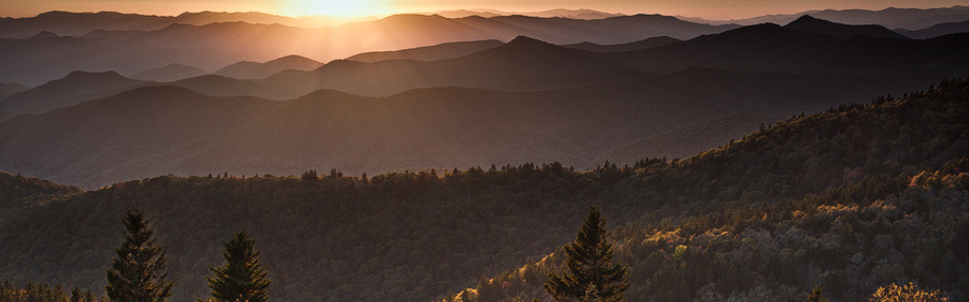 Asheville Guide Blog